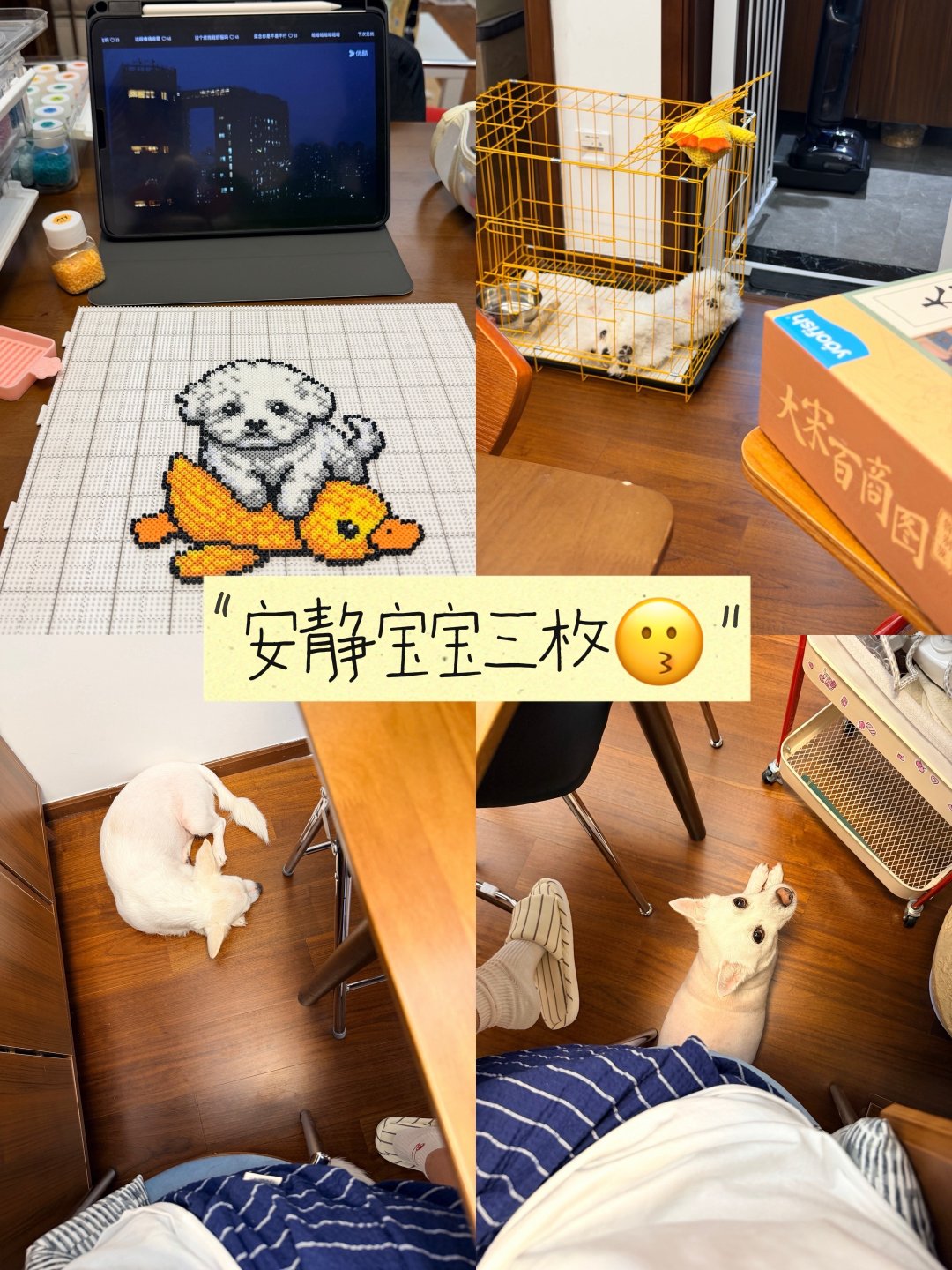 最近的天天天天✏️ ​
