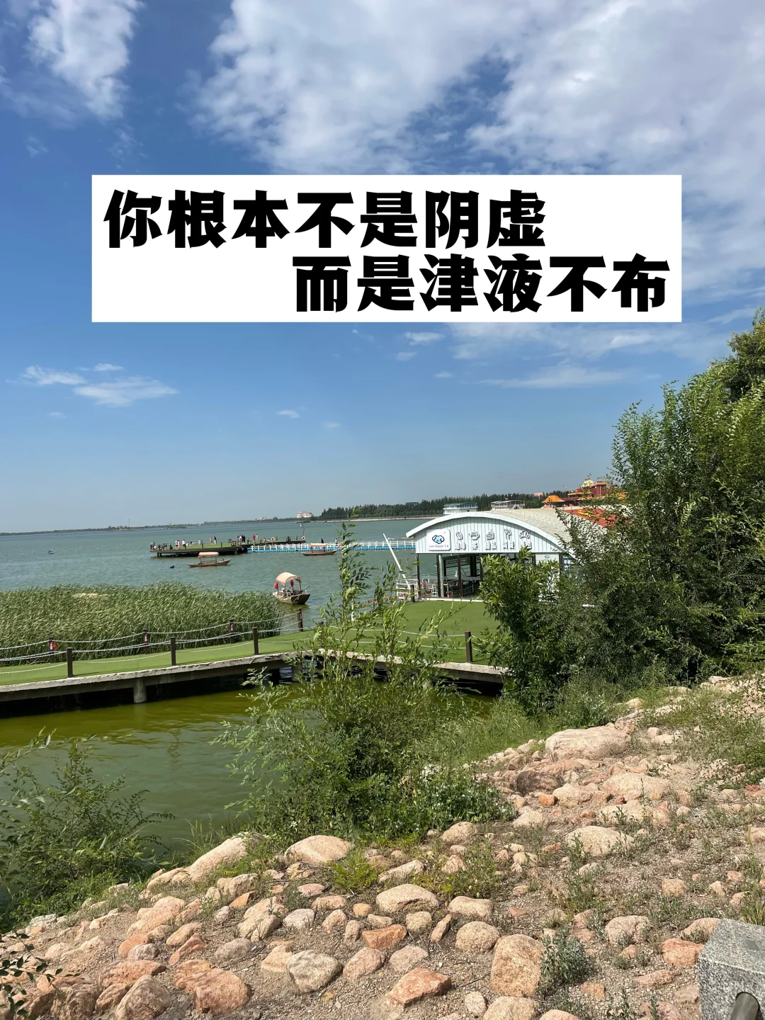 你根本不是阴虚，而是津液不布.