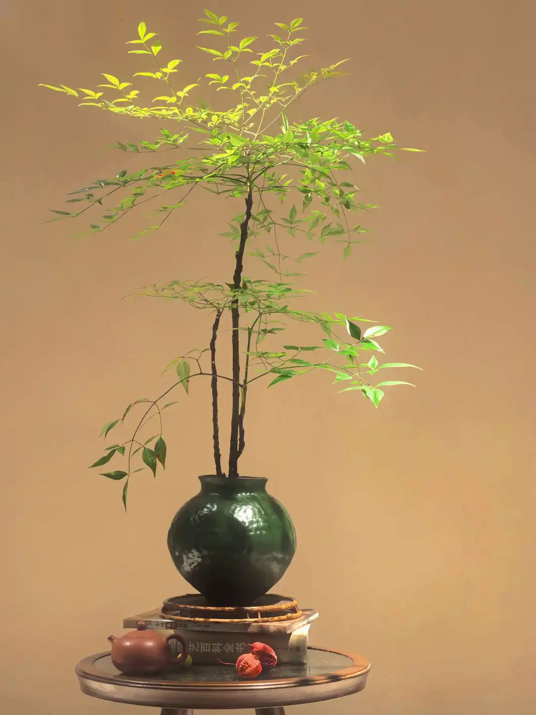 “没点艺术细胞还真刷不到我”