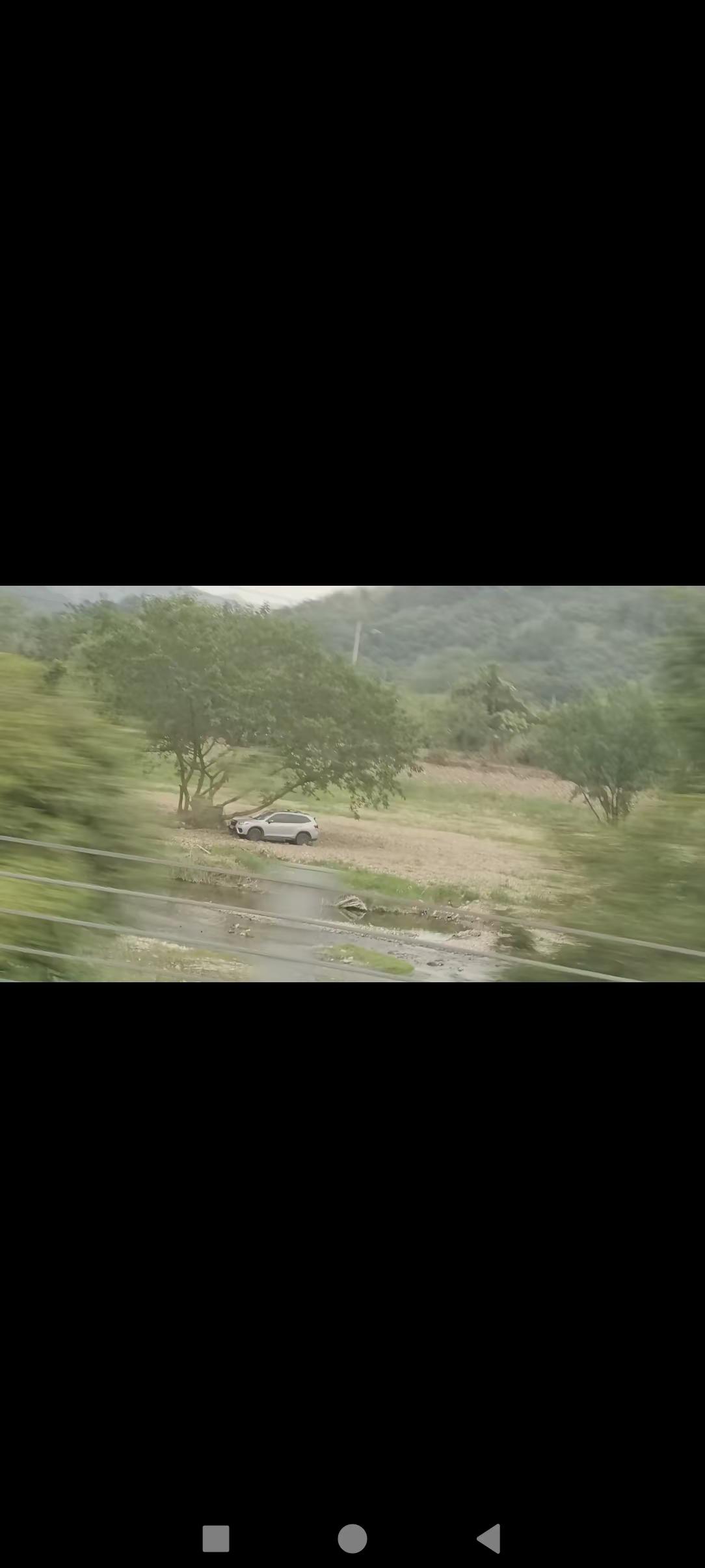 今天去宁波的路上，拍到一辆森林人在森林里，这才是正确的生活方式。偶遇斯巴鲁森林人