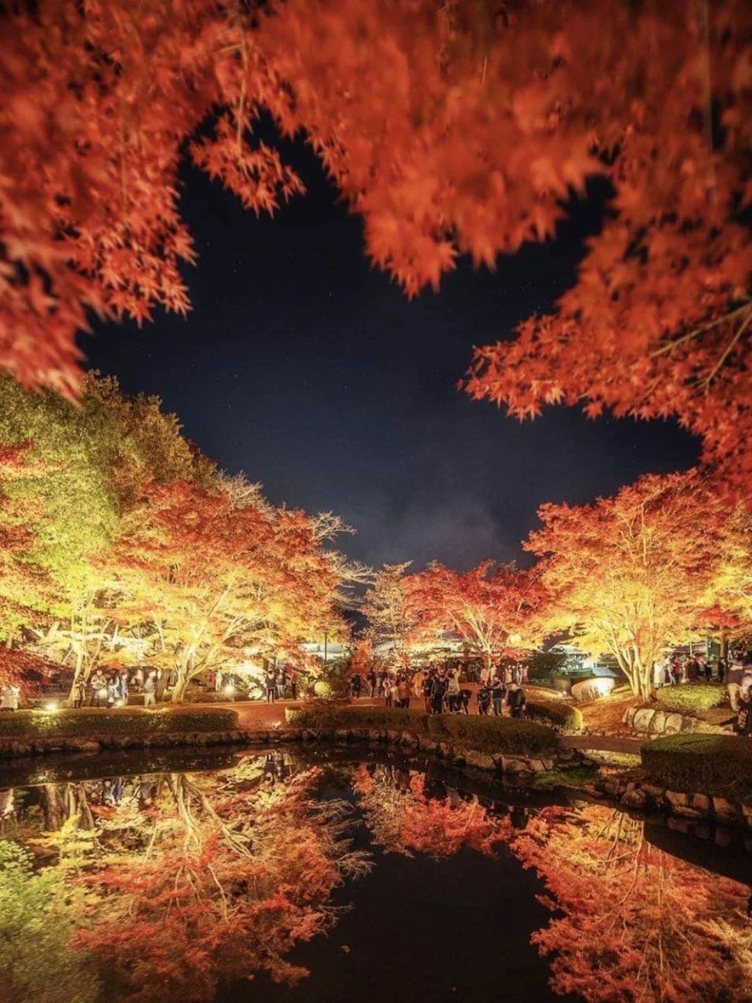 日本岐阜县|红叶灯光倒影美与震撼