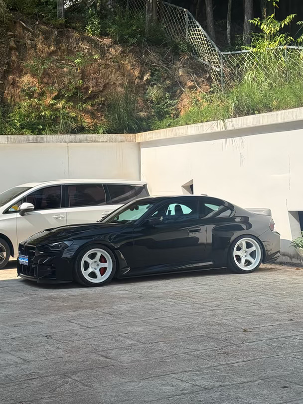 M2 秋天可以停树下了