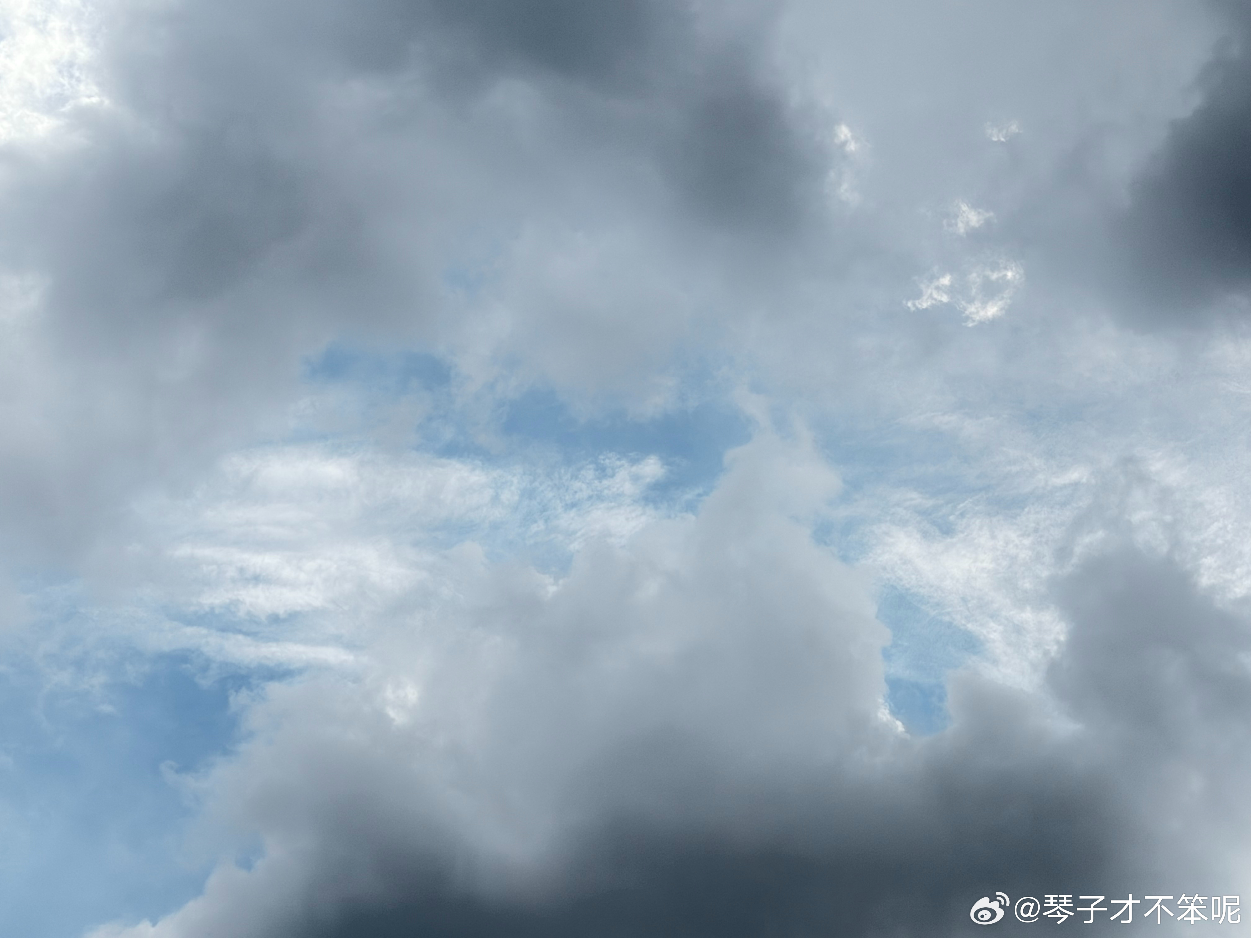 打工人琴子，被生活耗尽力气。 ​​​