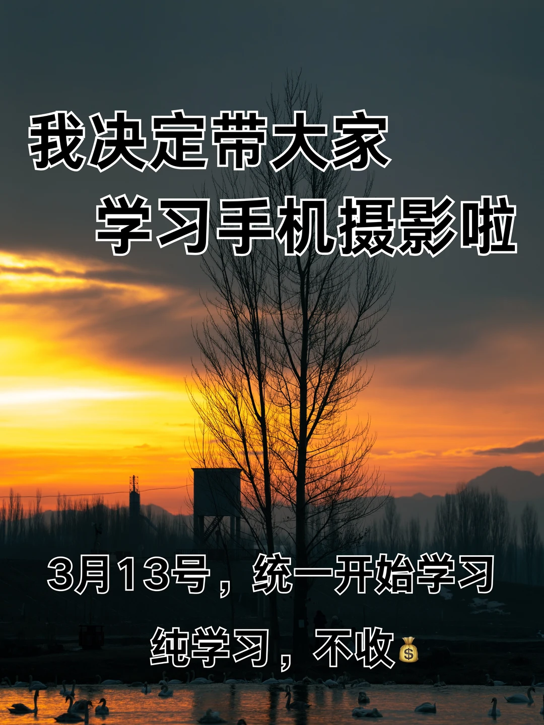 我决定带大家学习手机摄影啦！！