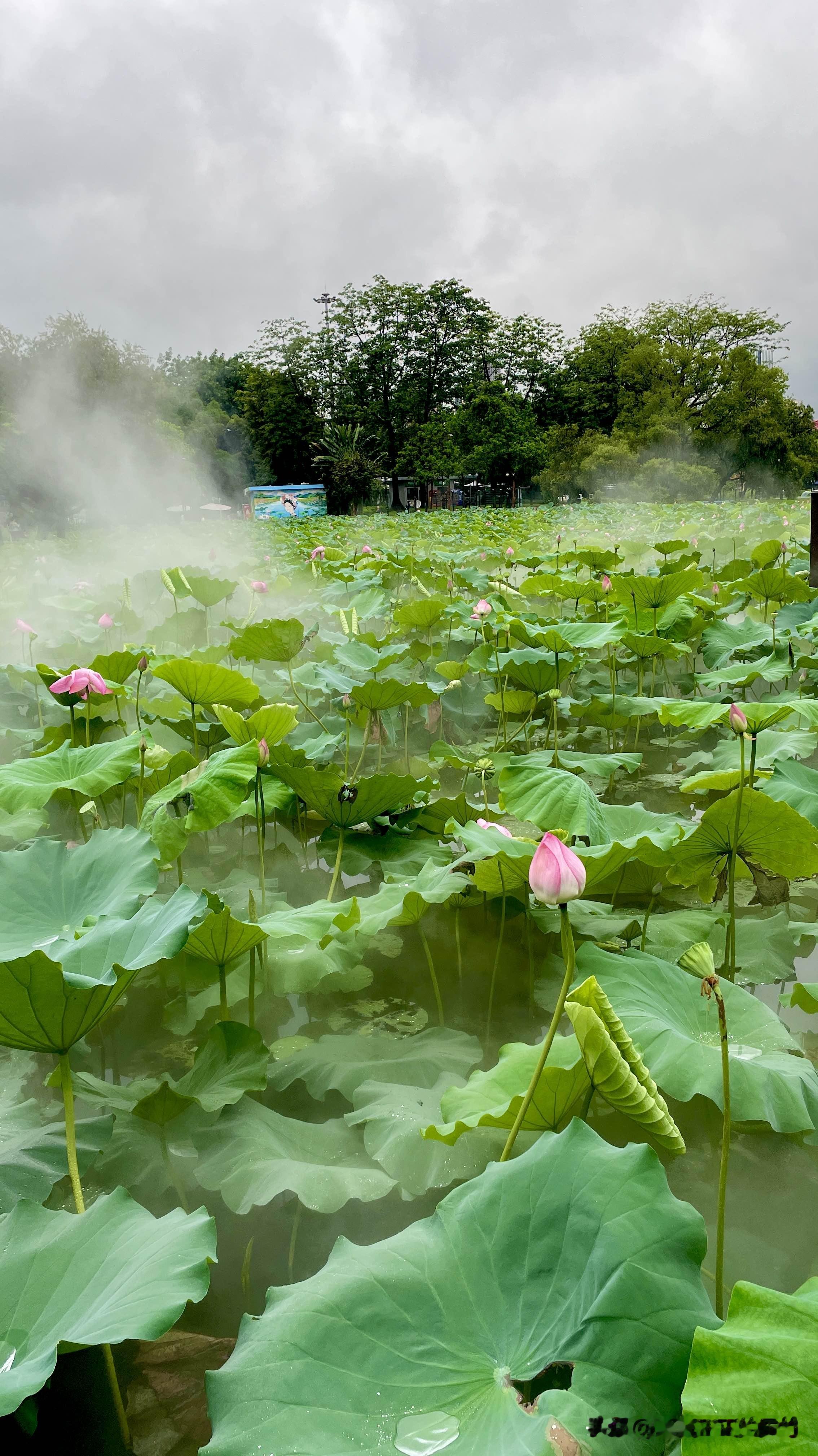 大师级人物啊，《百万富翁》里面的“孤寒度”，请个司机不包油钱，一质疑，人家合同上后面有写“字系细只啲，不过有写”，开劳斯莱斯捡废易拉罐卖，为了赌赢一块钱花了几百万赌：能不能用钱把一个穷鬼变成绅士，