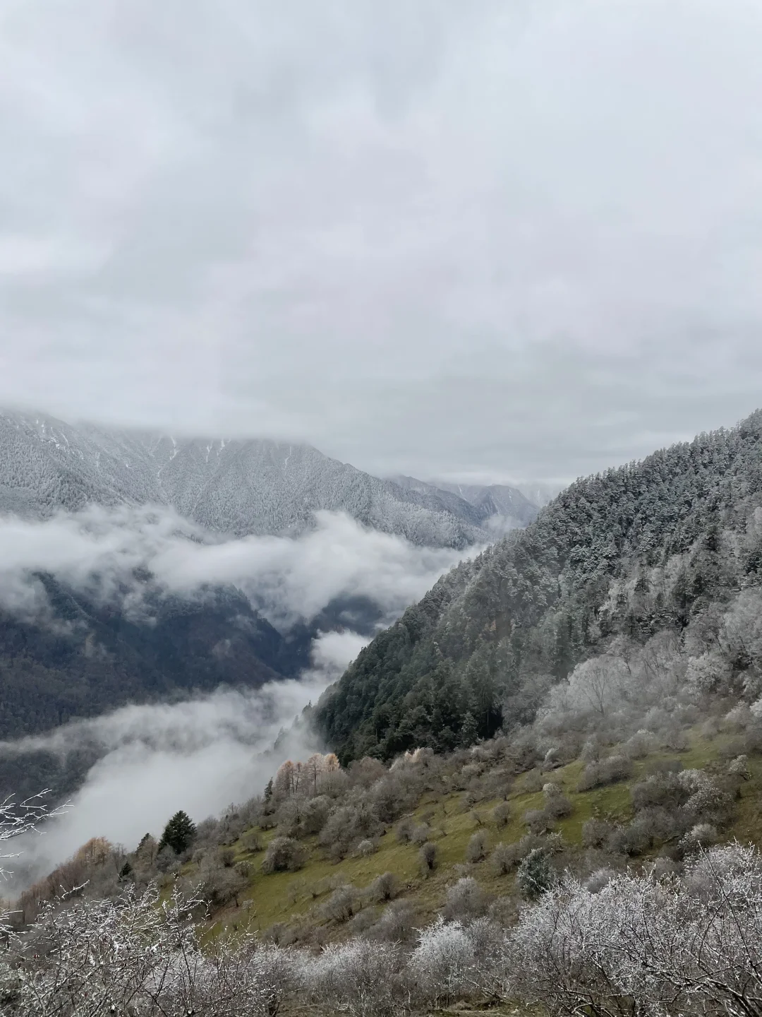 雪山是有雪的🏔️