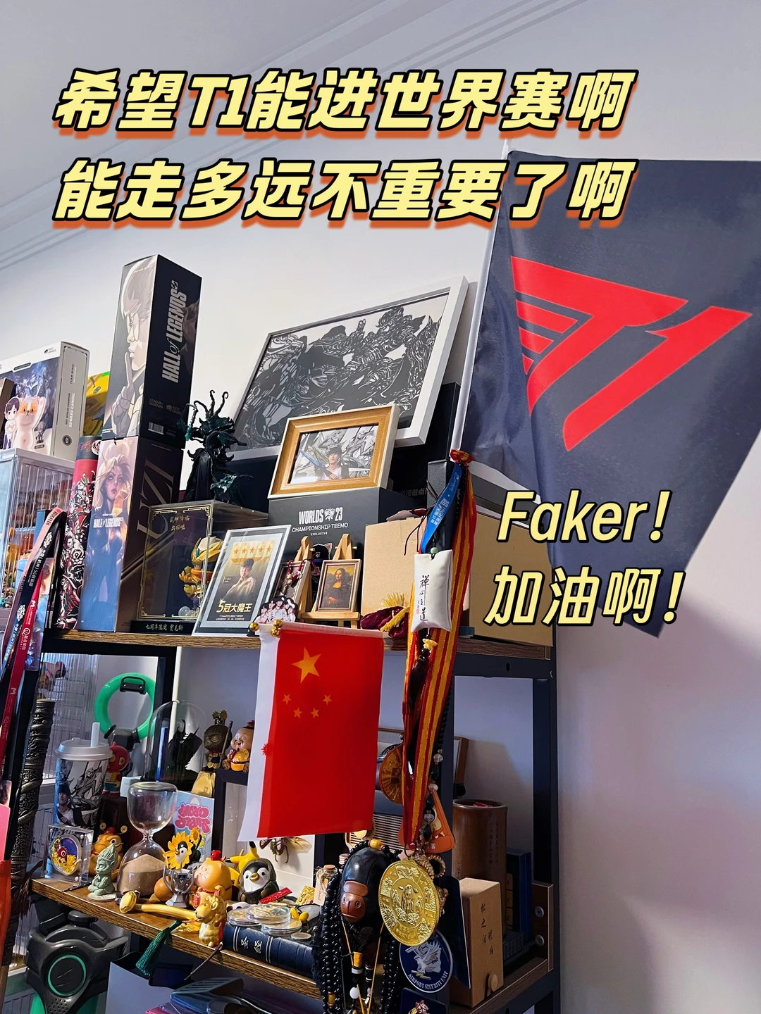 Faker加油啊！一定要进S赛啊！