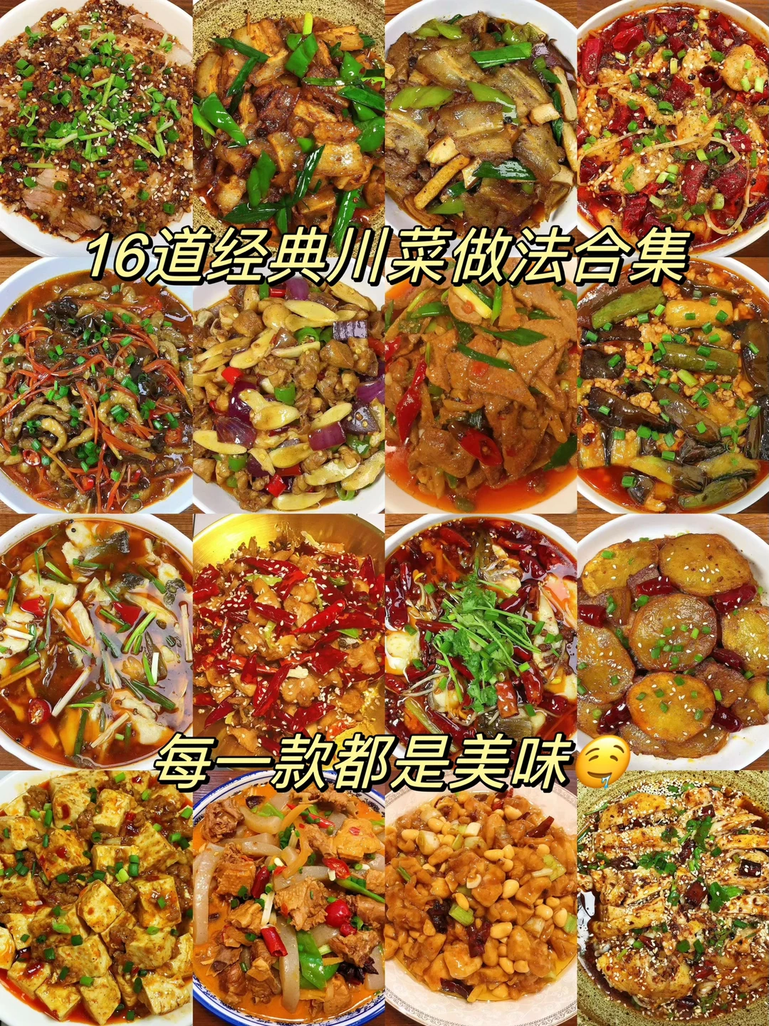 分享16款经典的川菜做法合集，好吃下饭，做法简单！喜欢川菜的朋友们可以试试哦！