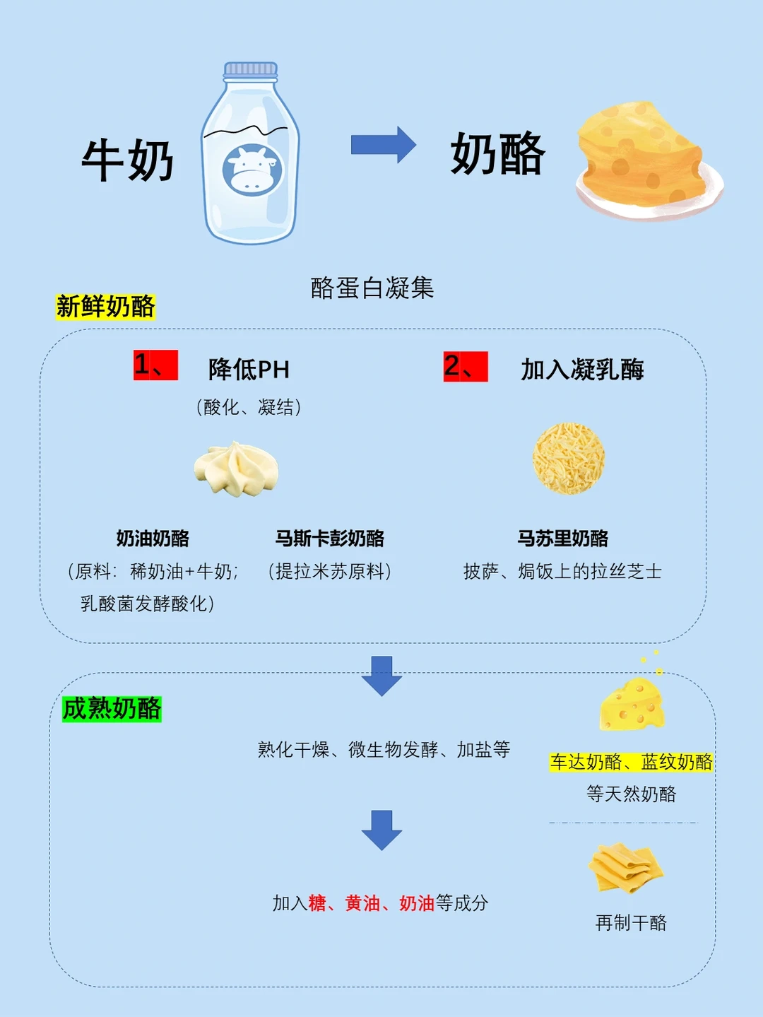 绕不开奶酪棒，那就来学会怎么选吧✅