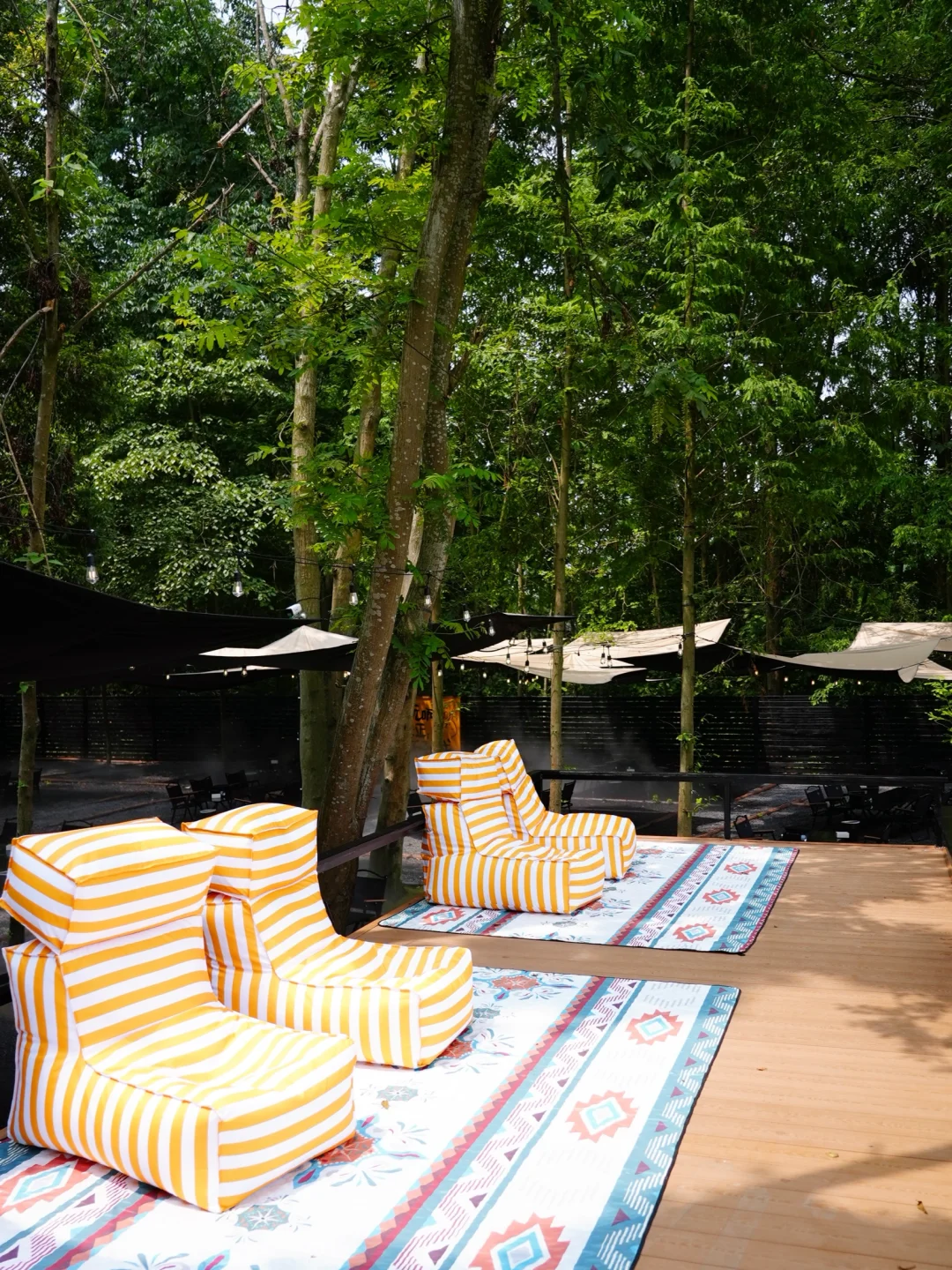 挖到青城山遛娃宝藏地！新的露营地太香了⛺️