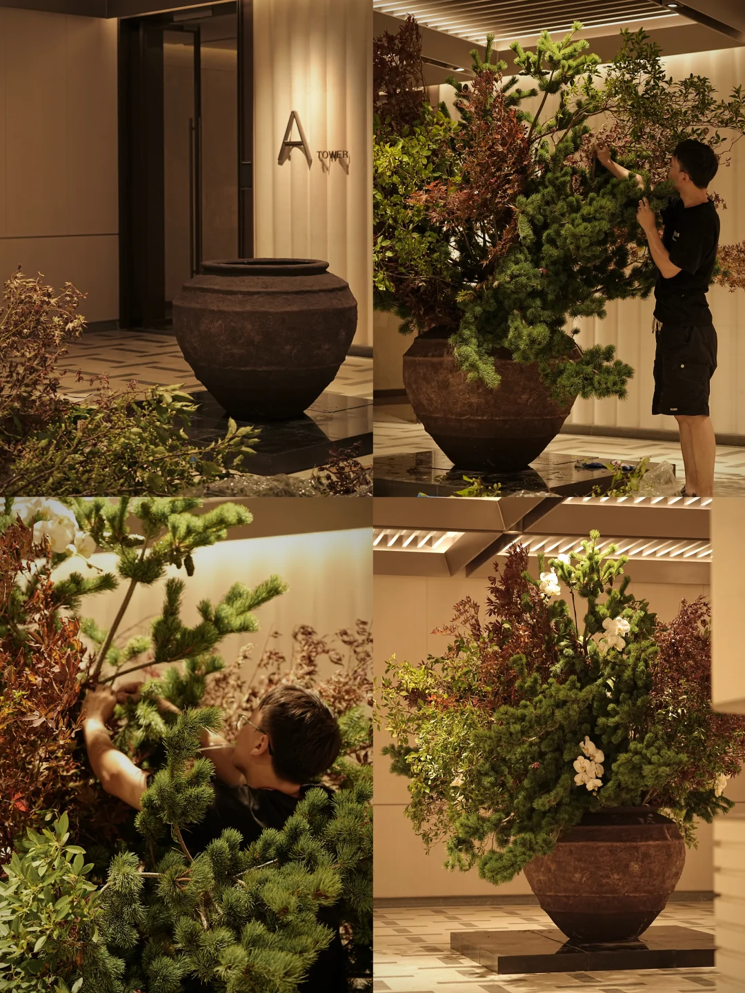 好的空间 总会留一块地方给植物