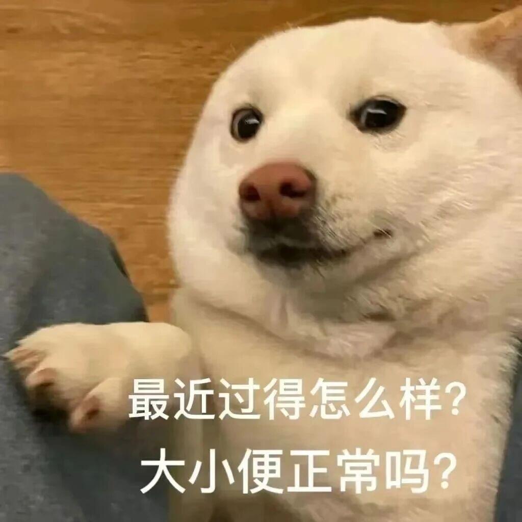 猫猫狗狗抽象表情包金秋壁纸大放送