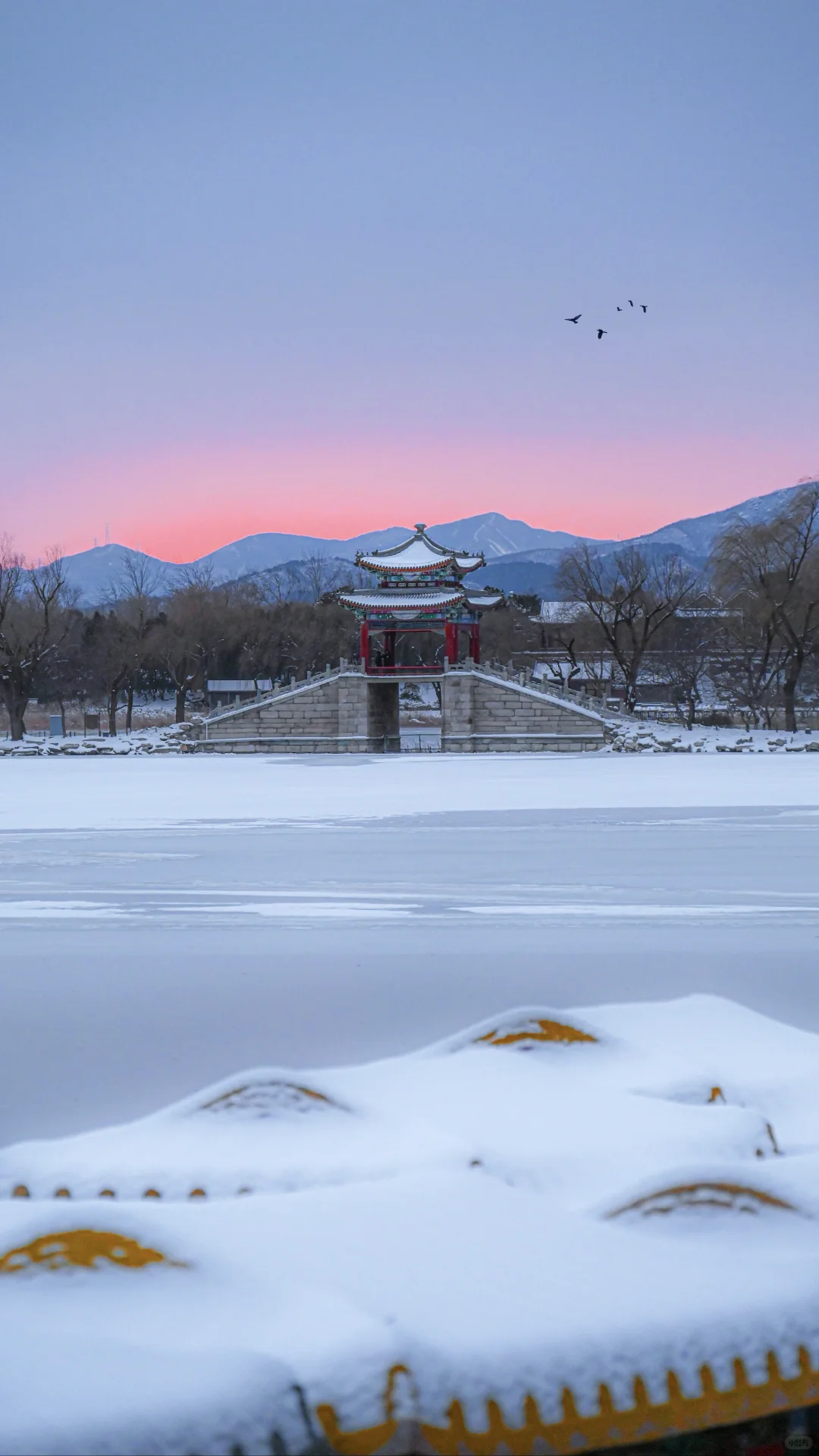 见过了下雪的颐和园，才懂什么是冬日胜春朝