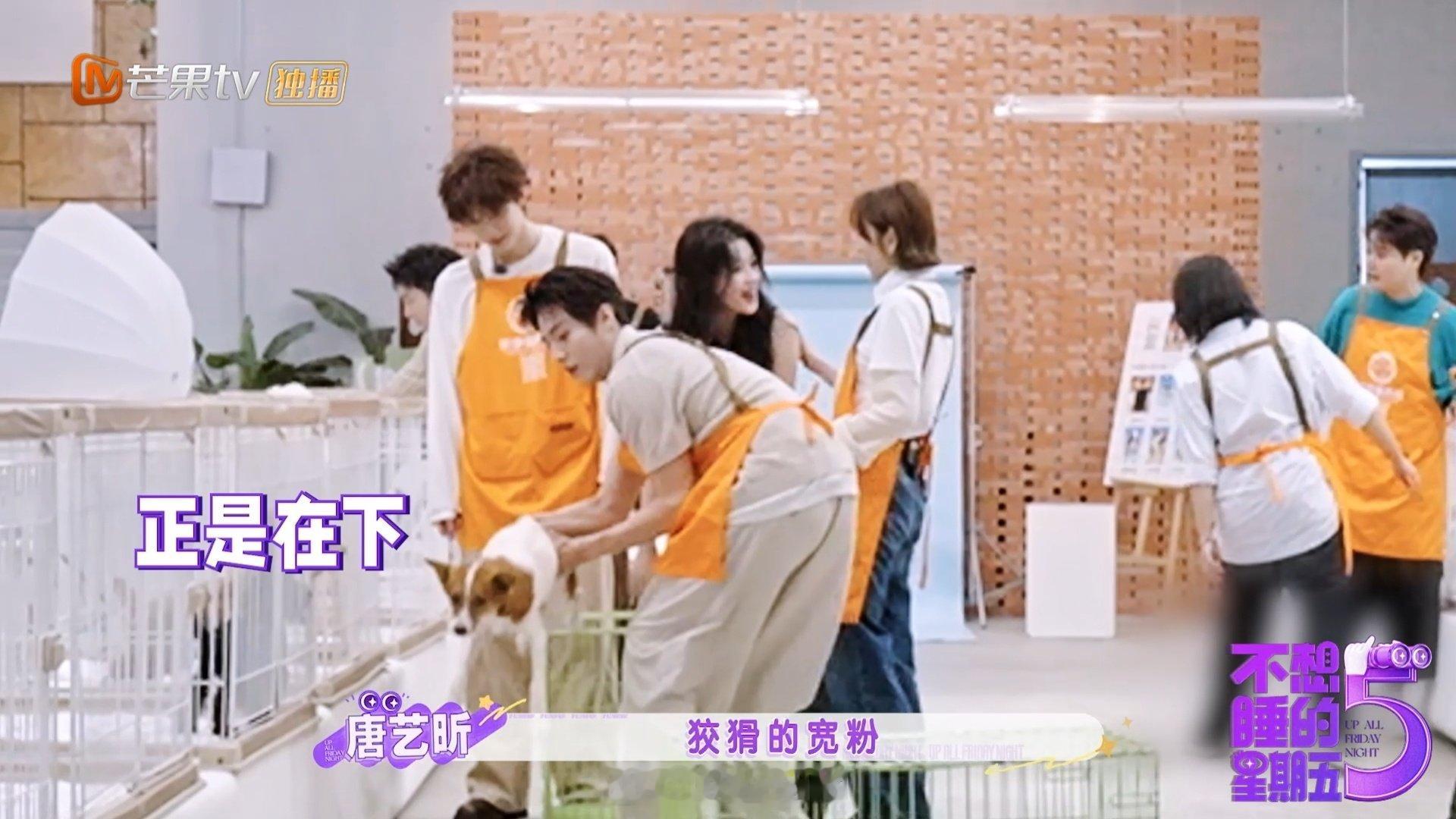 #黄明昊陈靖可追狗##不想睡的星期五给毛孩子找家#黄明昊和陈靖可在现场手忙脚乱追小狗的样子，把救助现场最真实的一面拍出来了，救助小动物本来就随时会遇到各种意料之外的突发情况。 ​