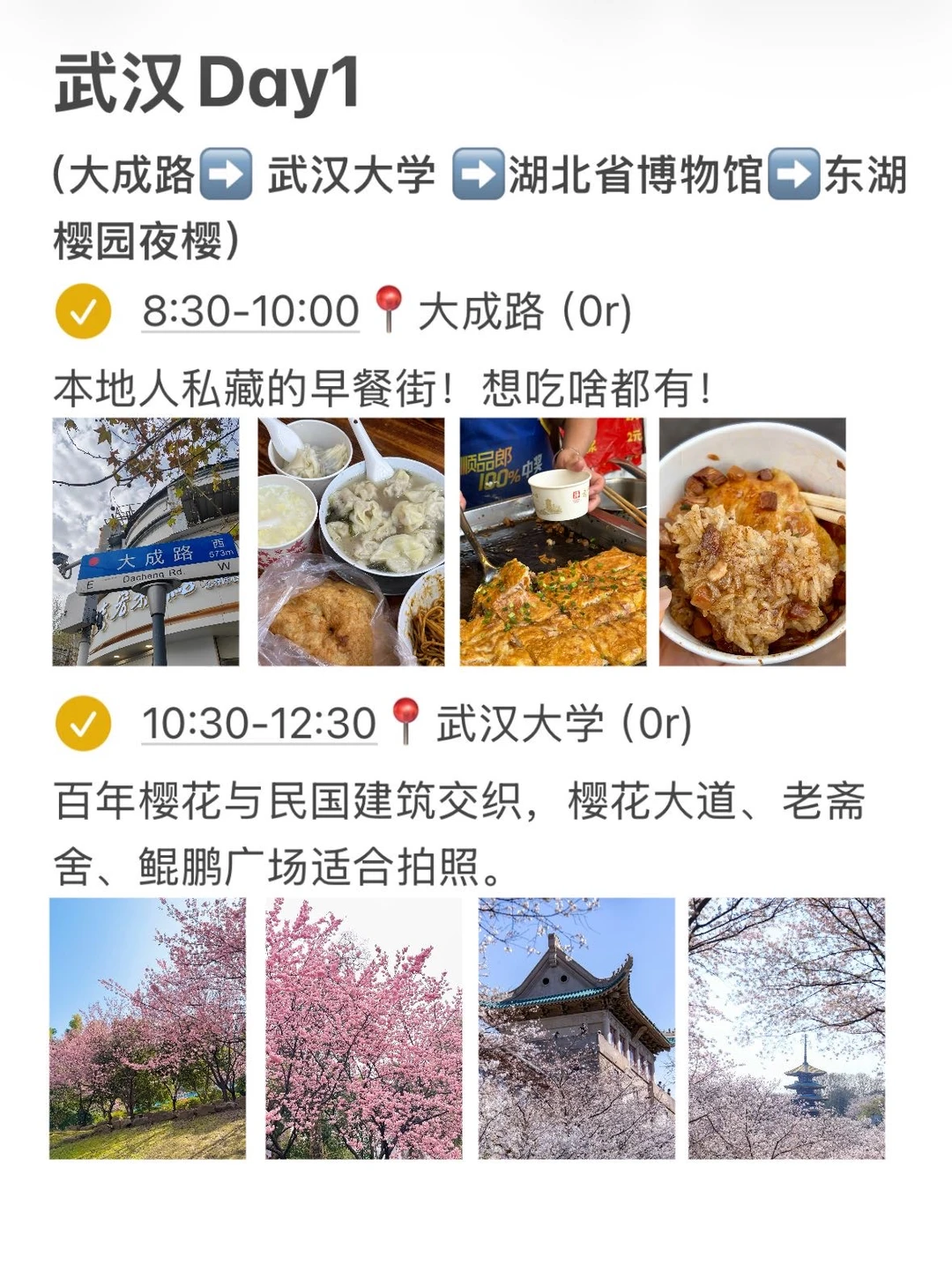 本J人对自己做的武汉樱花攻略满意的不行…