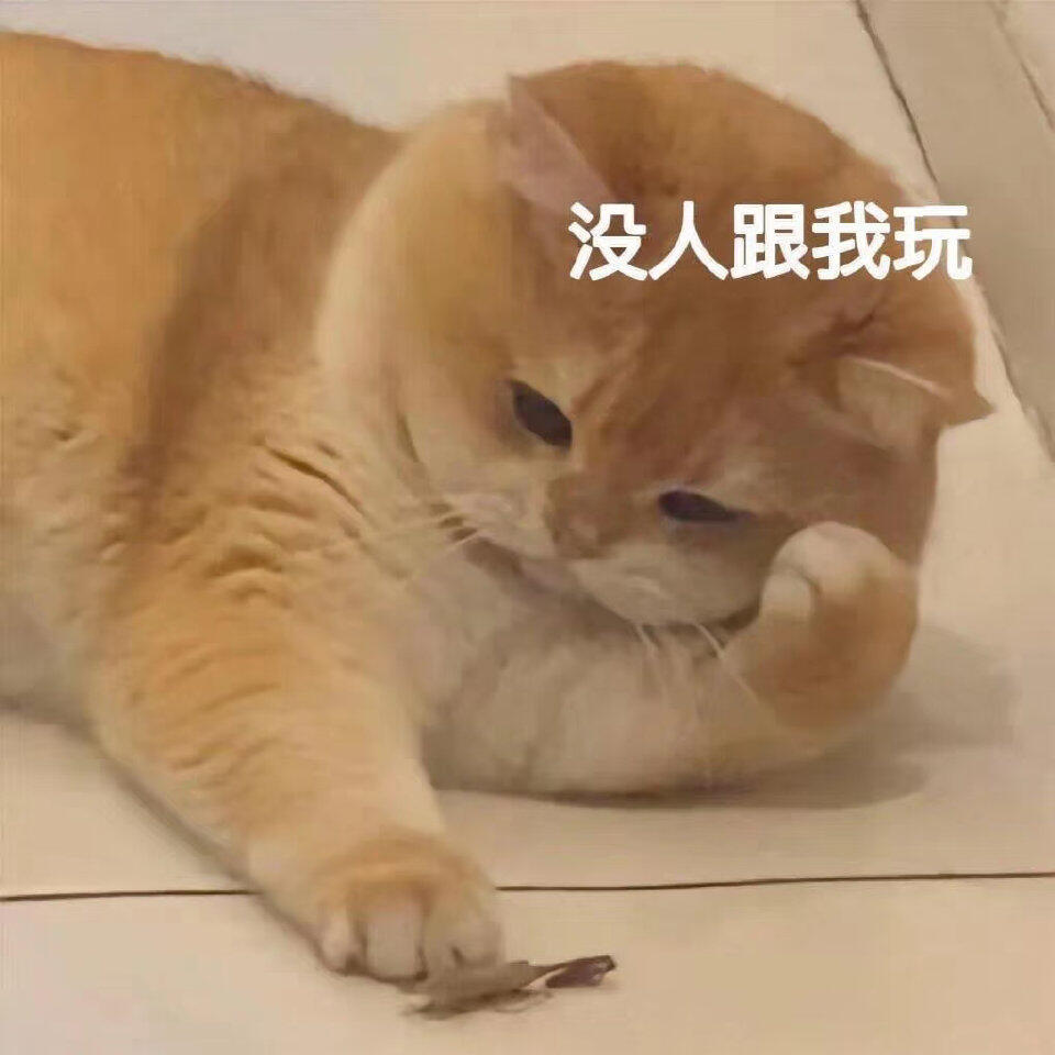 近期爱用的表情包