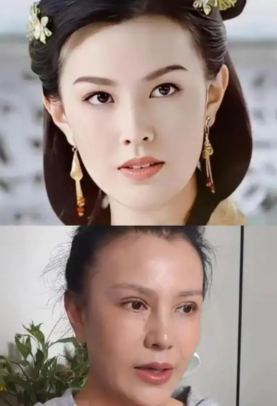 52岁的朱晏，在杭州转塘一家小饭馆案板前，捏着韭菜盒子直播。
看过《康熙王朝》的人一眼认出，佟妃。
同一天，40岁的张蓝心站在外滩大会台上，说：我是跆拳道冠军，演员，现在靠写代码吃饭。

朱晏不是沦落摆摊。
她在朋友餐馆直播，分享韭菜盒子做法，给自己账号做内容。
“没戏拍就卖韭菜盒子”，是她8月聊A