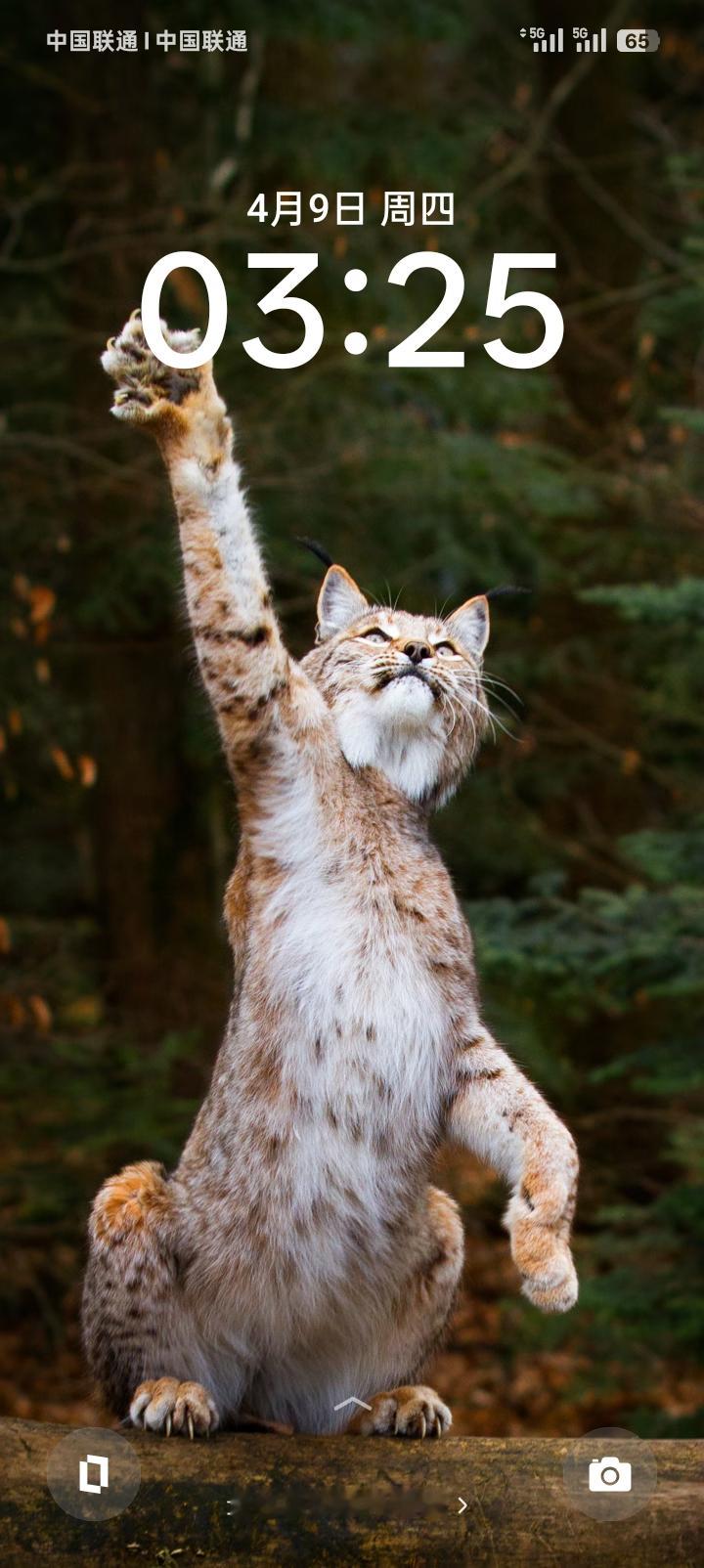 <p>亚历山大如何成为雷霆队的核心超强的得分后卫 <!--{img:0...