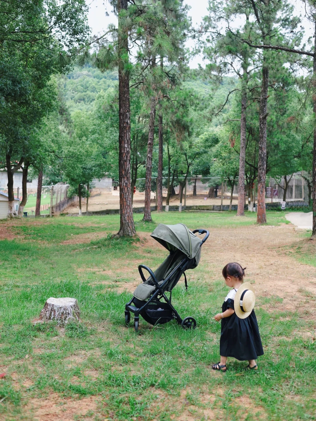 武汉亲子游|一起去动物园赴一场约会吧🐒