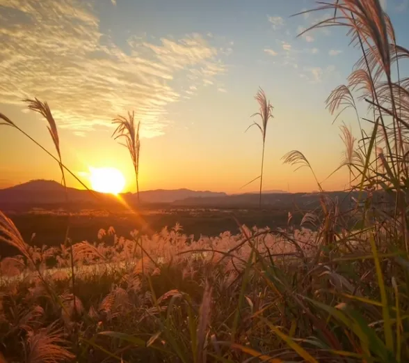 高情商得几大特点： 1、不抢话， 2. 会捧场 别人聊起自己的成就或小...
