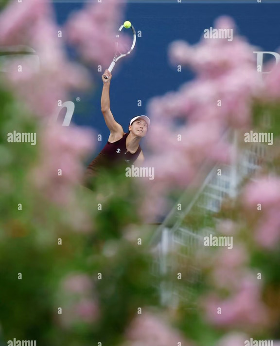 这组拍的好有意思🌷