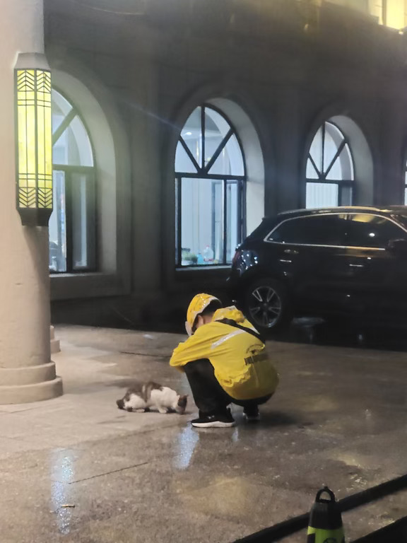 一个普通的雨夜，两颗