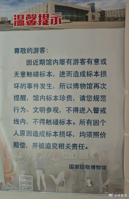 #岛叔微评#【“熊孩子”毁标本，根子在“熊家长”】8月29日晚，国家动物博物馆刊文称，28日，两小孩在濒危动物展厅里对标本又抓又踢，致珍贵标本受损；其父不仅放任，还将标本递给孩子玩闹。国家动物博物馆对此强烈谴责，保留依法追责的权利。

受损展品包含两件珍稀蛇类标本，其中之一莽山原矛头蝮是 ​