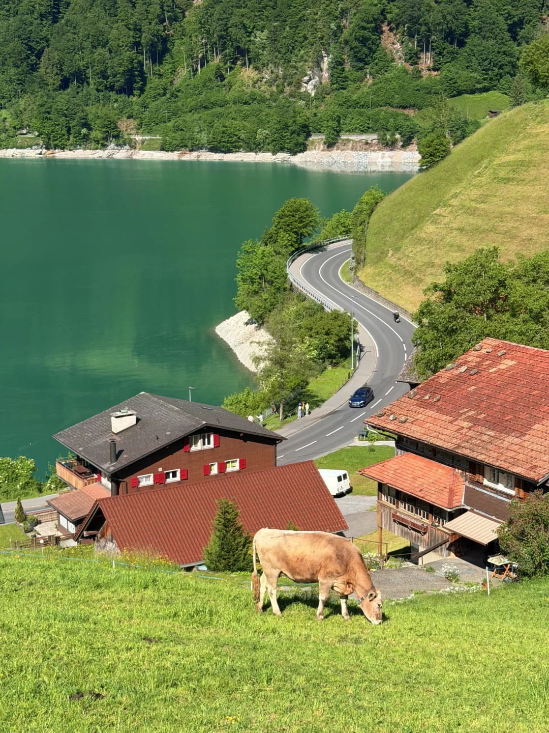 瑞士后劲太大了，哭着发出这组live😭附路线