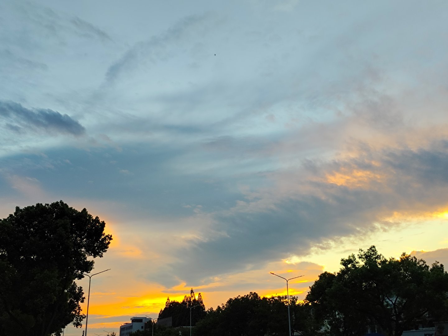 🌇 ​​​