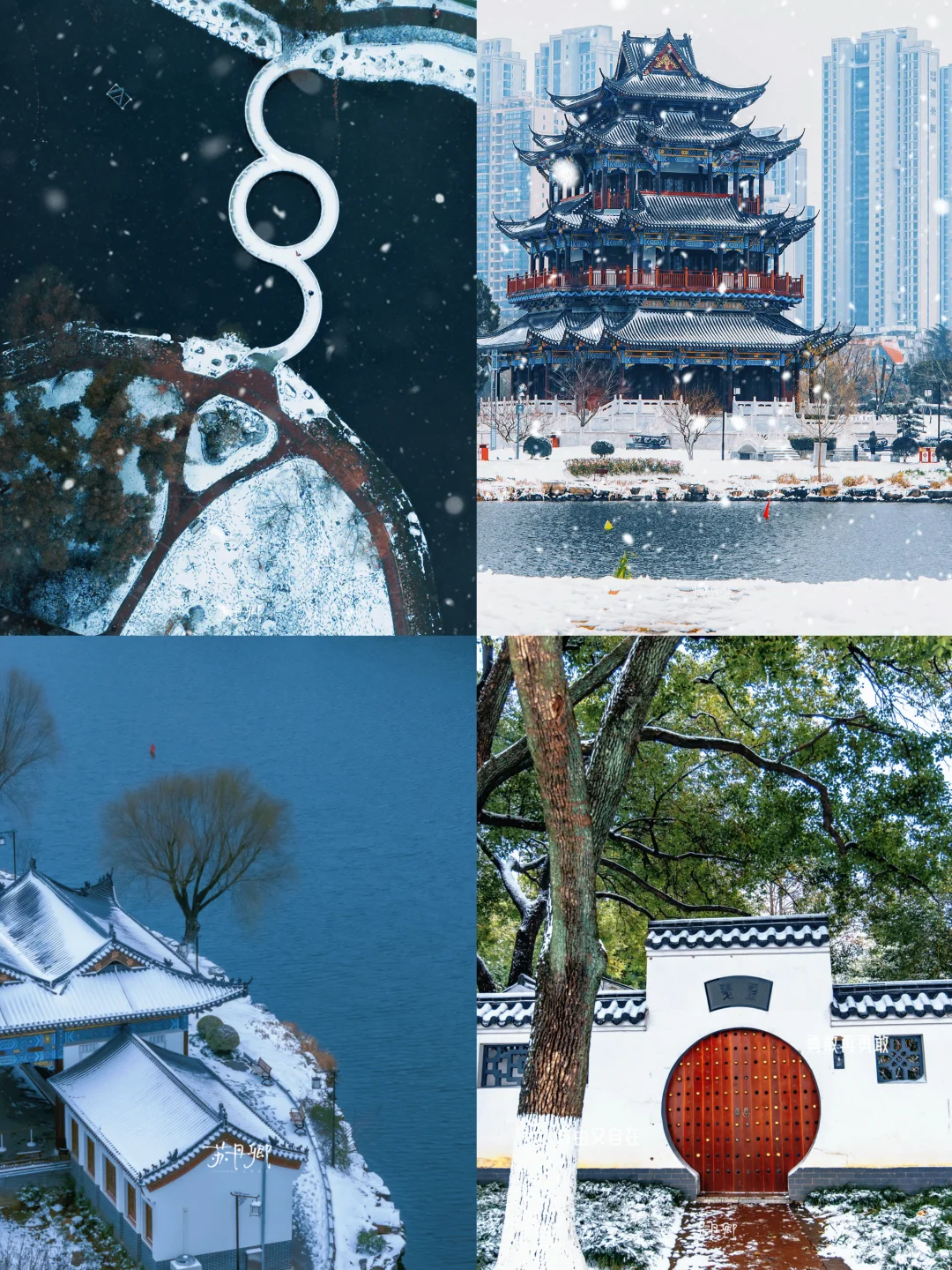 武汉又要下雪了？这个宝藏公园一定不能错过