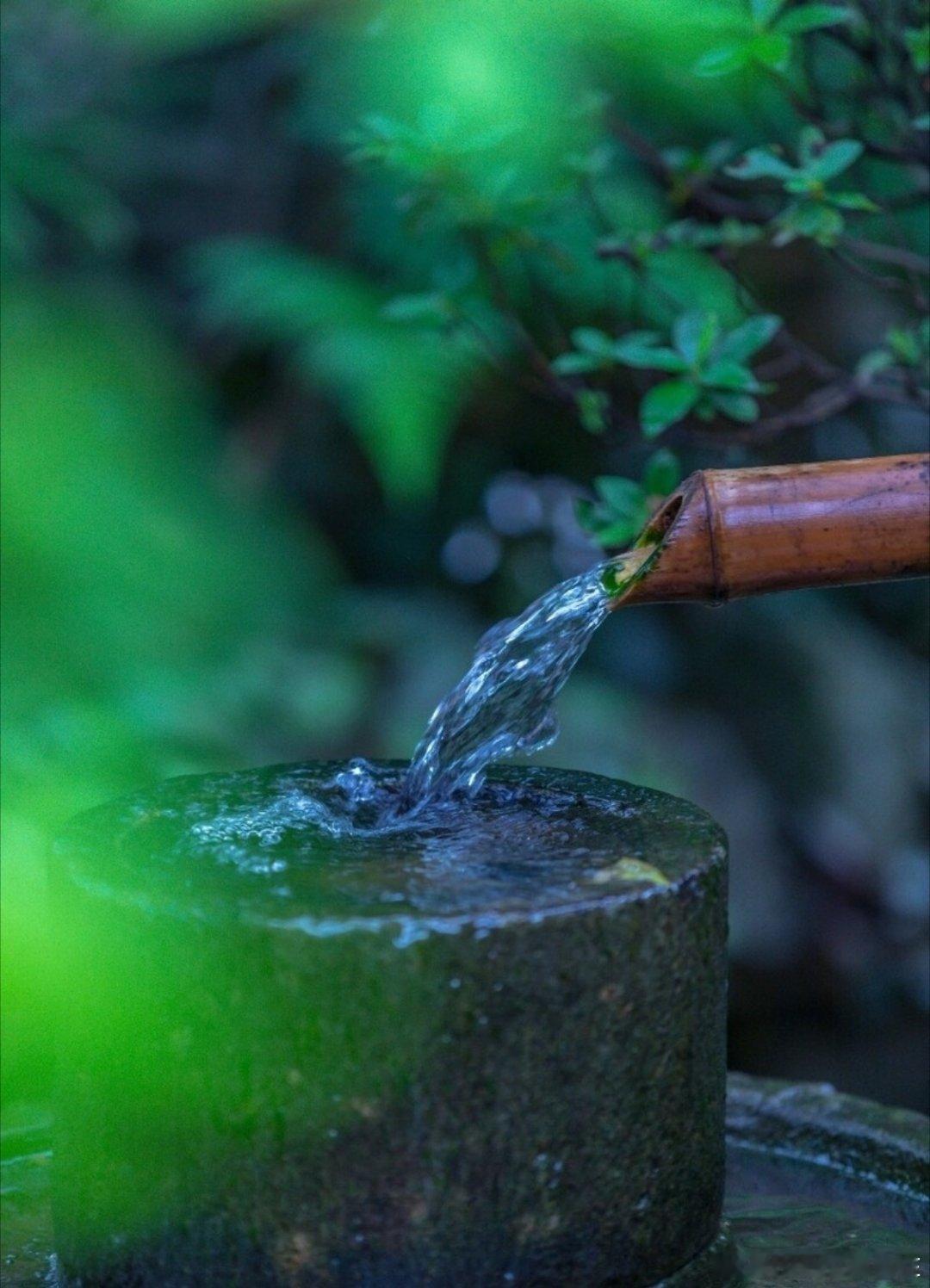不要以为善良没有用，不要以为品行不值钱，记住了，善良是给自己积攒的福德，品行端正是给自己一生留下的后路。
#特朗普怎么了# ​