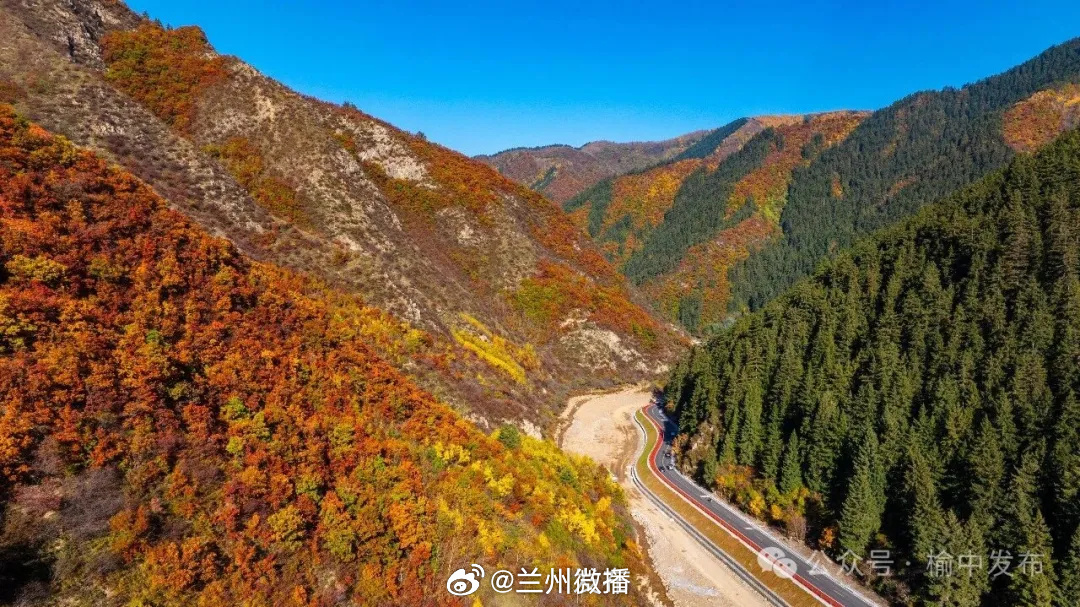 兰州榆中赴一场山野秋约兰州榆中，赴一场关于秋天的山野之约🍂文旅中国行同城热点创作计划 秋风漫过榆中层峦，大自然打翻调色盘。金黄、橙红、深绿层层晕染，光影穿过枝叶洒落山间。兴隆山层林尽染，红飘带般的公路蜿蜒彩林；兴黄公路新营段群山铺彩，高崖水库碧水藏秋，甘草车道岭漫山鎏金，韦营乡道一路风光。一步一景，一帧一画，山野藏秋韵，光影醉人心，这是榆中独有的秋日浪漫。
