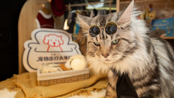 🕶️带上我的家人们在「头等舱」里摆造型