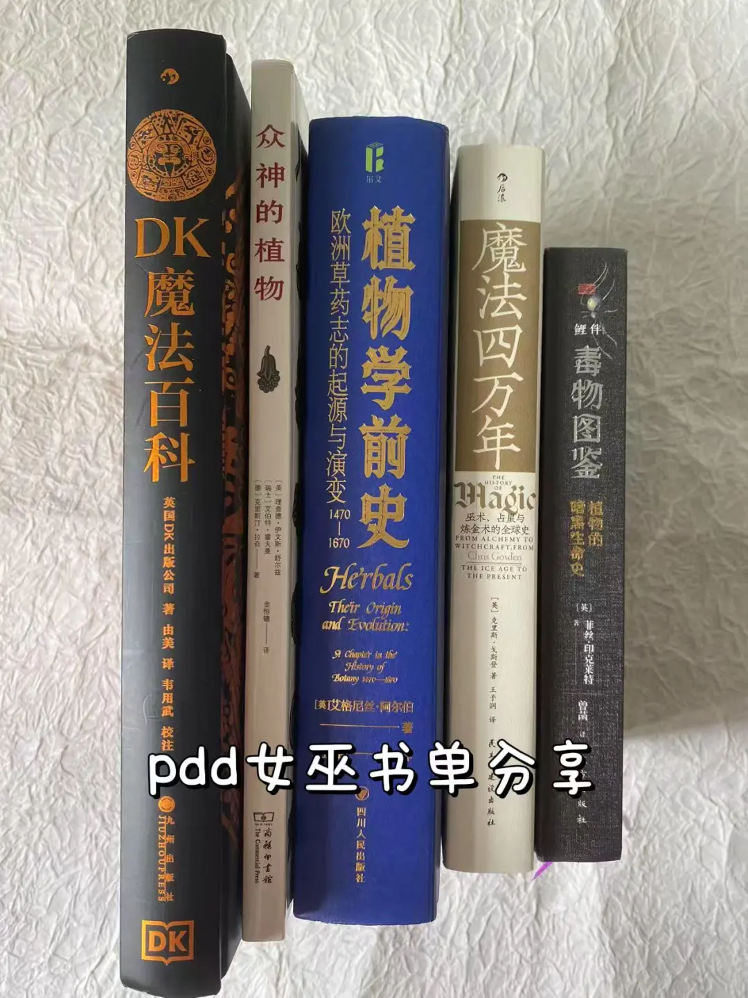 女巫书单 | 草药、魔法、占星、与炼金术