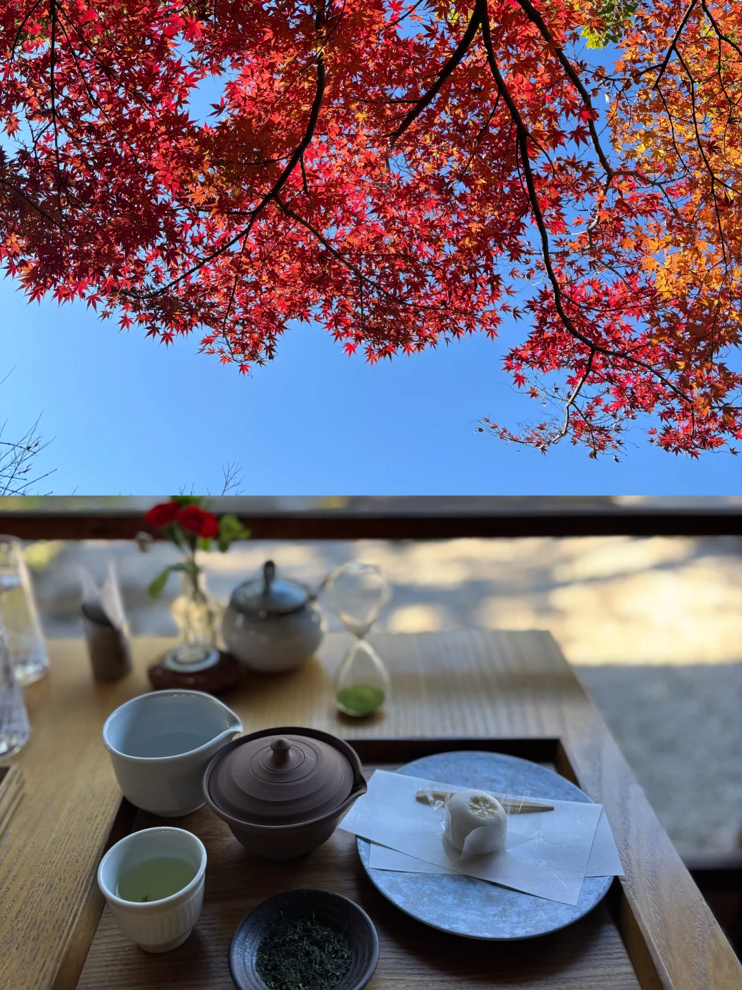 12.18德川园枫叶现状🍁