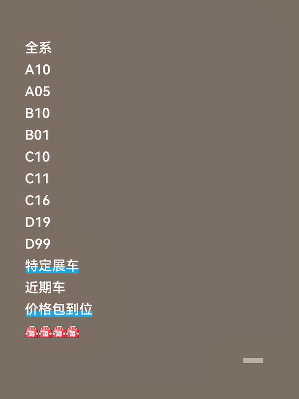 零跑全系冲量