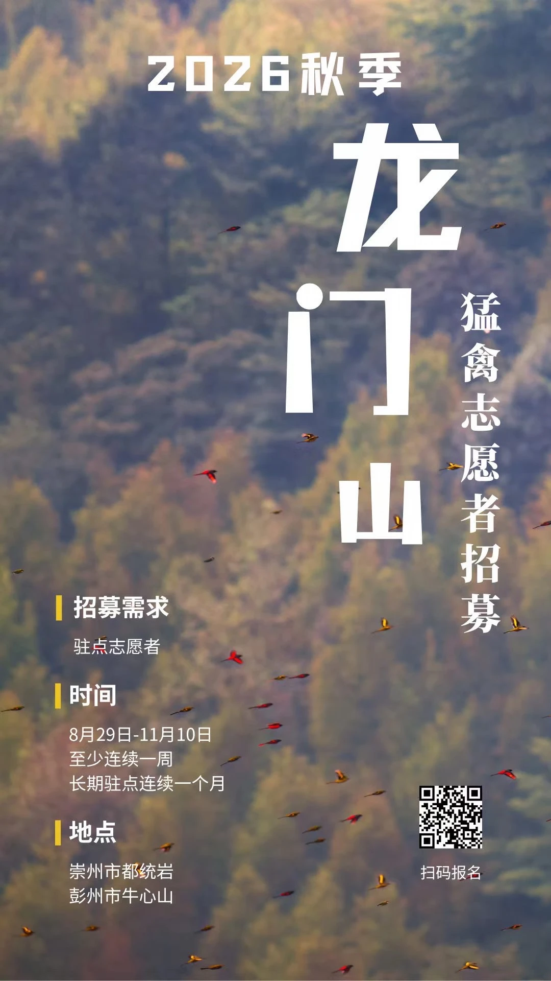 来！来龙门山做猛禽监测志愿者！