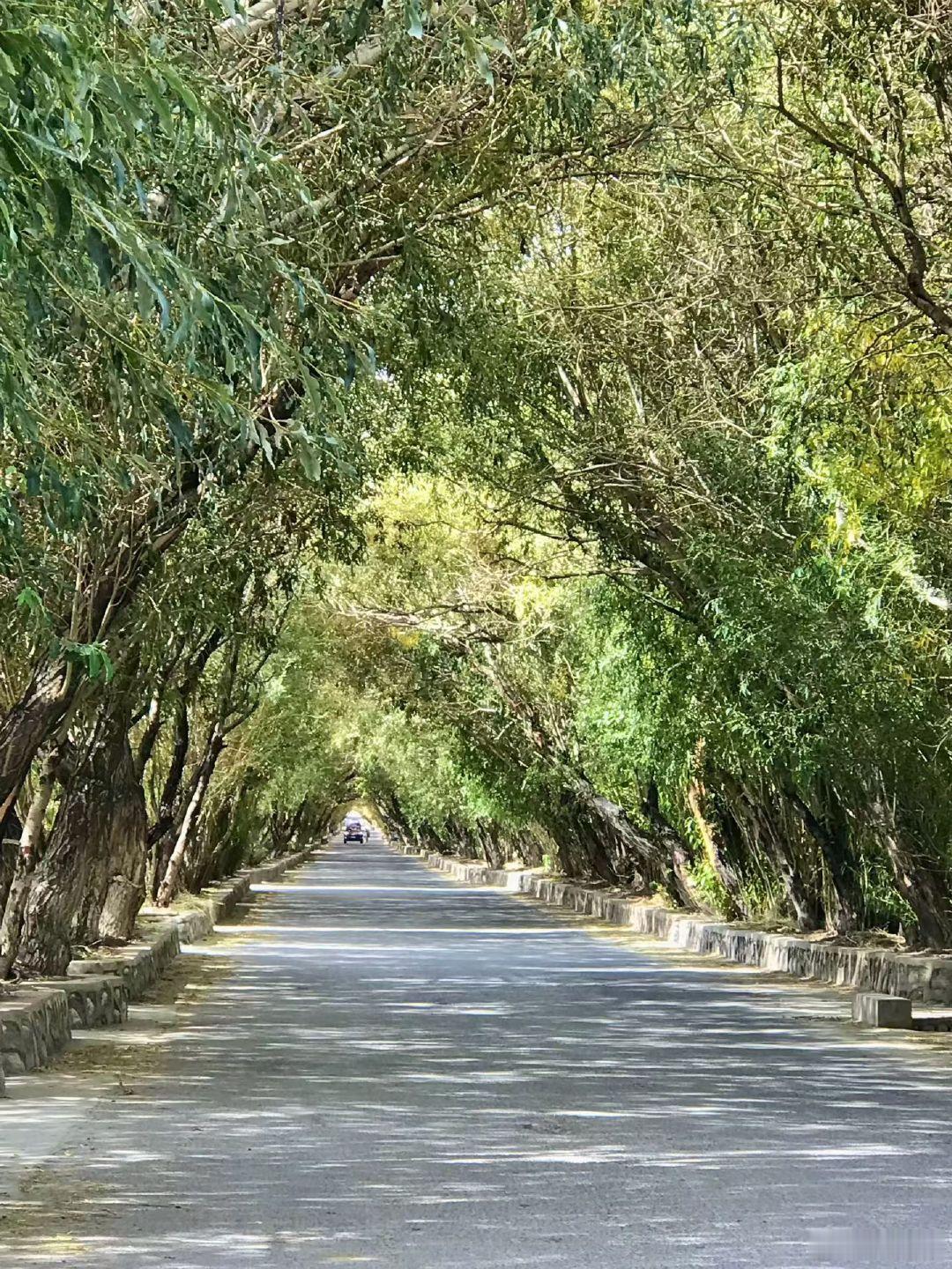 【感路】
臭豆腐闻着臭吃着香，心灵鸡汤正相反。
“别赶路去感受路”，窄一听文艺但有几人能有这般闲情逸致？
有目的地就要找方向找方法，约定的时间总要遵守一下，途中难免有堵有恙有突发，这时候满脑子只剩一个“赶”字！
更有情不愿的推不掉，一边抱怨一边赶，墨非定律弄人。#心灵鸡汤##别赶路,去感受路##墨菲定律##日常分享[超话]#