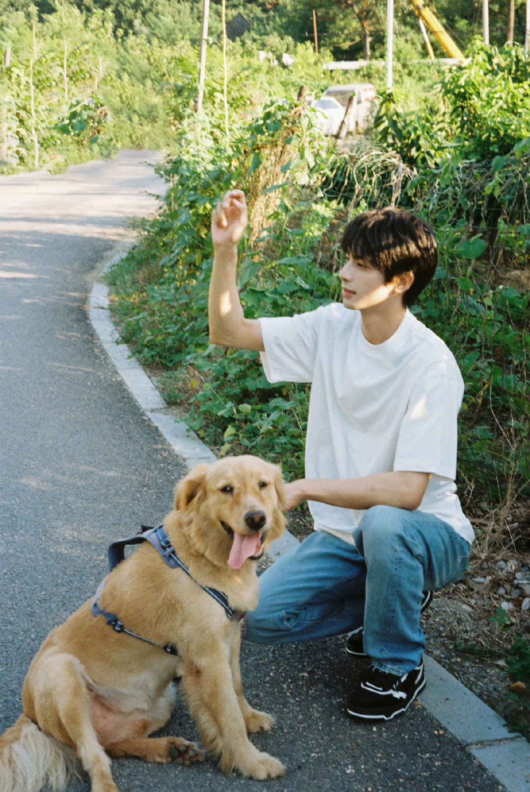 幸好这个世界有小狗和好天气🐕 ​