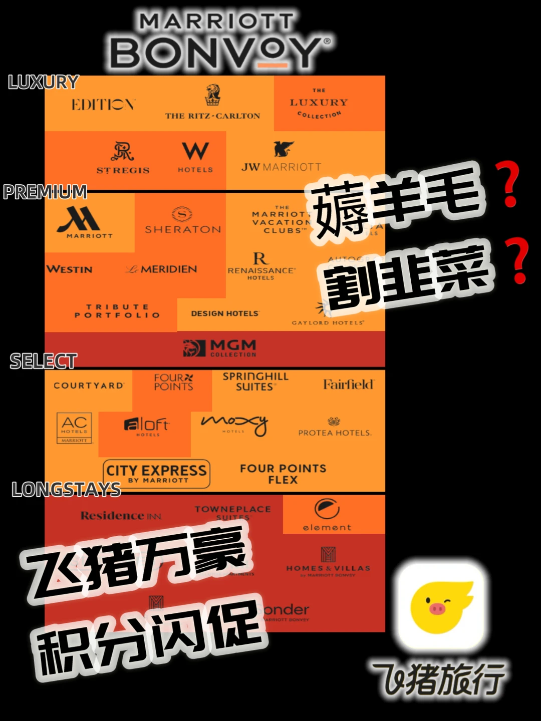 飞猪积分闪促【避坑指南】       第4️⃣个最坑