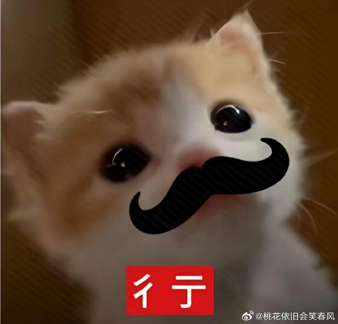 b#李杰灵问买台小米澎程一天租800怎么样#
这数学计算没问题，[二哈]就是去哪里找这么多人来找你租。
19个月里不间断出租，[笑cry]这生意得有多火爆啊，是啥景点能这么吸引人！
[笑cry]小米这新上市的车有点贵啊，都要30万了！
我没看发布会，不知道配置咋样的。[允悲]我只是说价格贵而已。 ​