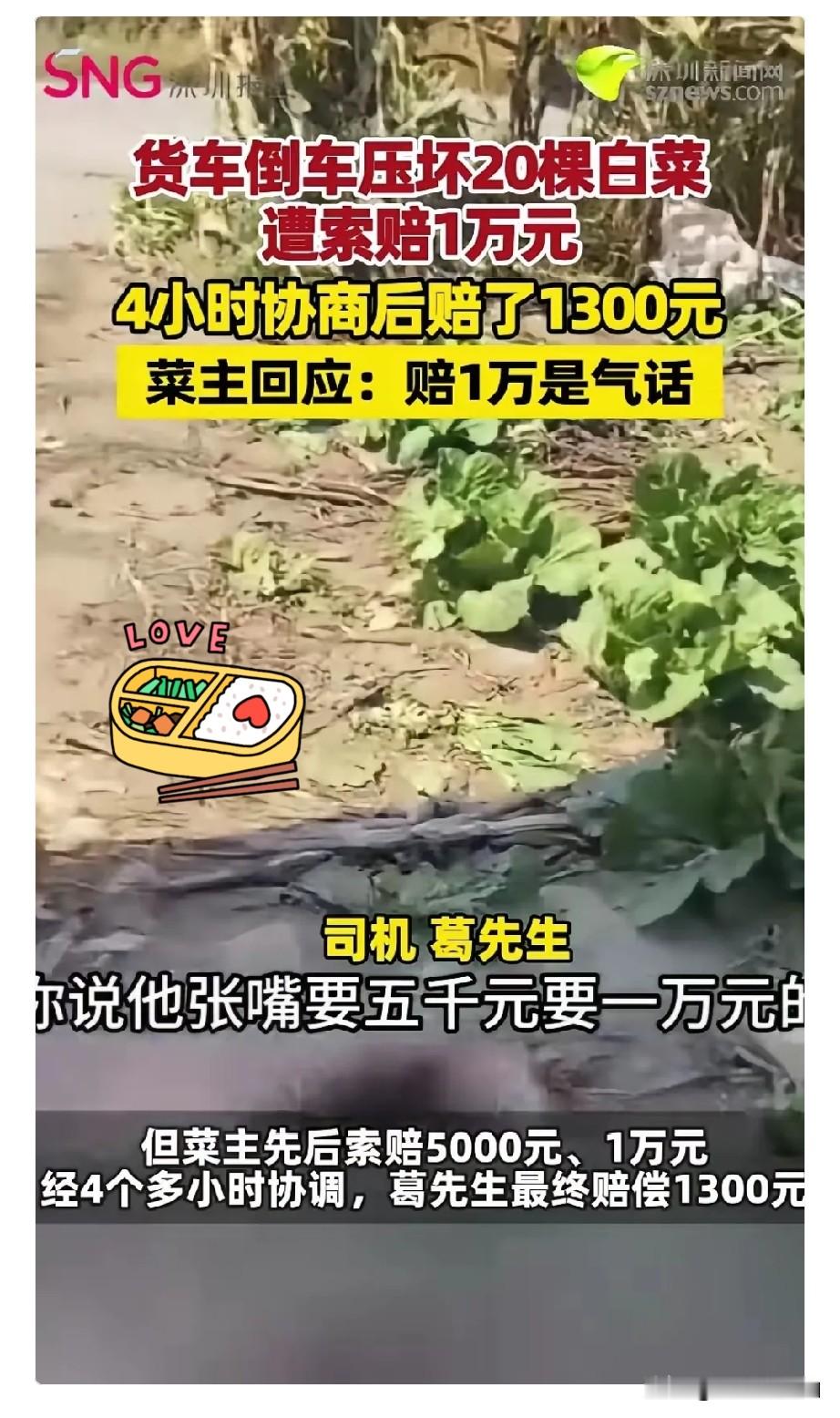 货车倒车压坏20棵白菜，菜主先要5000，再要1万，僵持4个多小时，最后司机赔了1300。
 
很多人第一眼觉得菜主漫天要价。但换个角度想想，农户种菜不容易，不光是白菜本身的成本，还有打理、施肥、等待成熟投入的时间精力。不过话说回来，20棵白菜，上万的赔偿确实远超正常市场价。
 
遇到这种民事纠纷，