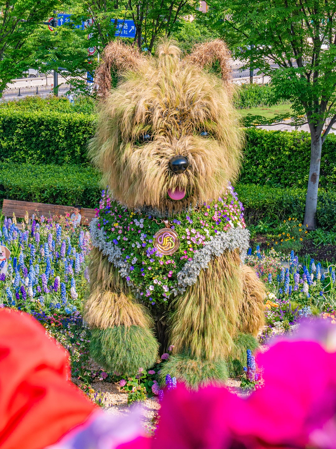 不是国外！是静安！掉进现实版的莫奈花园啦🎨