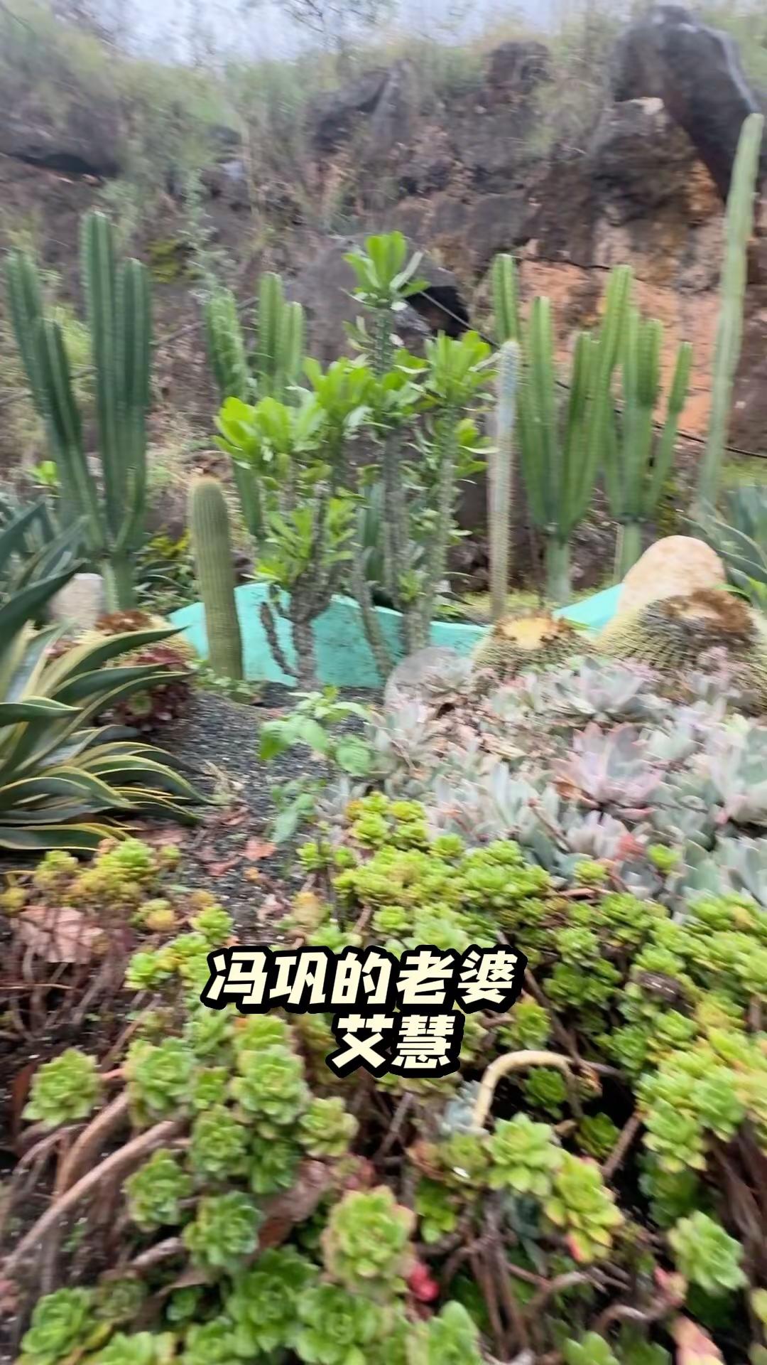 【现场直击： 】这恐怖的射程！加时关键时刻马刺落后3分，文班刚过半场直接出手超远三分扳平比分！nba季后赛马刺vs雷霆