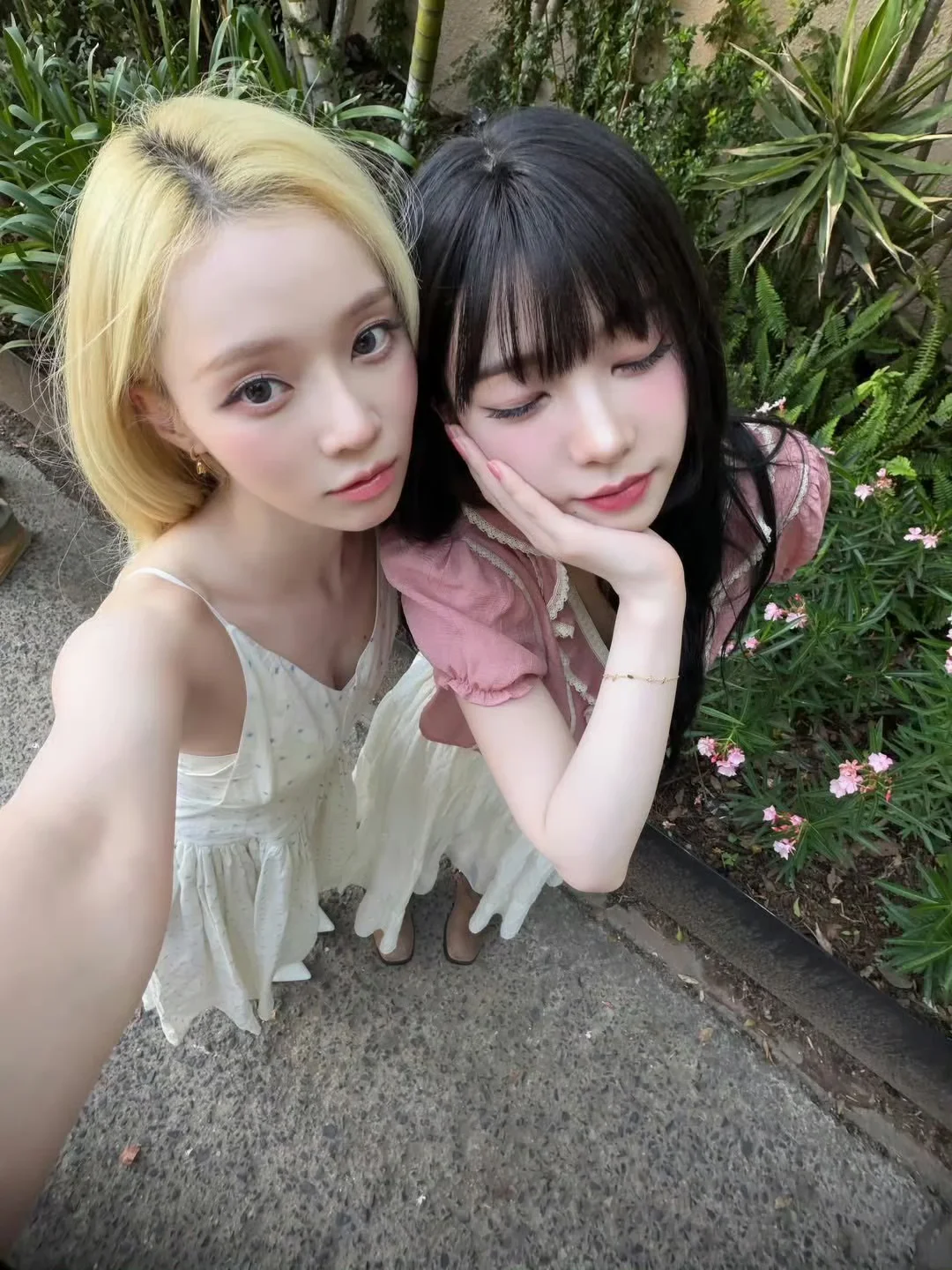 萌物