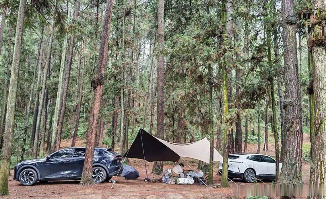 特别的风景--第一次体验秋日南昆山#深蓝车友会# 

秋风拾落叶，暖阳染山野。趁着松弛又温柔的秋天，我们开着深蓝S07直奔南昆山218环线，来了一场说走就走的秋日跑山。
从深圳出发，一个半小时就驶入这条"广东最美公路"。纯电续航扎实，增程没有补能焦虑，空调一路开到25度，每公里成本不到一毛钱。进入 ​