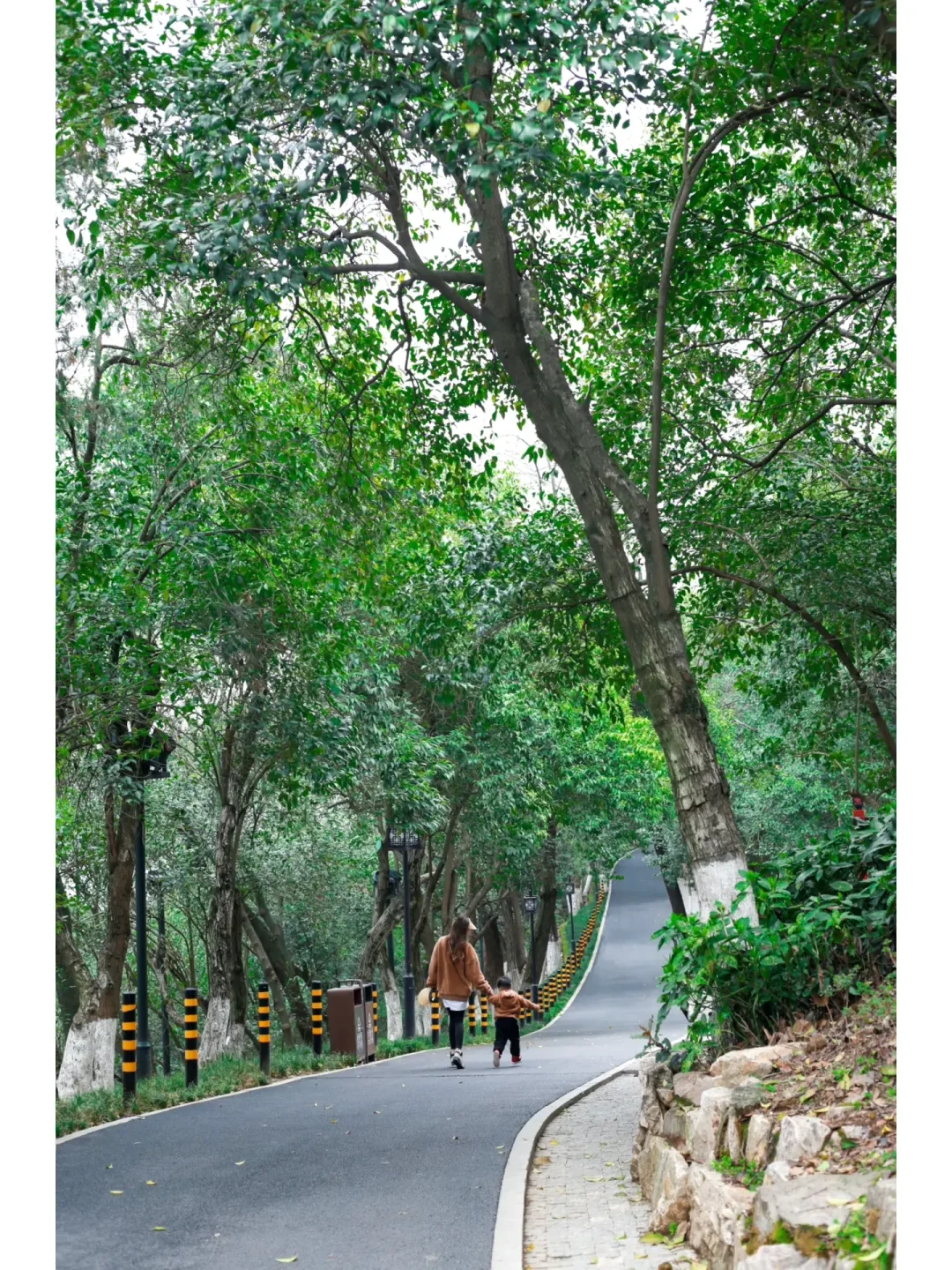 武汉免费遛娃｜我又发现条宝藏亲子徒步路线