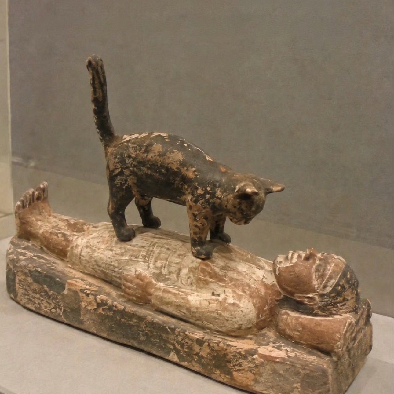 猫从古时候就开始打扰人类了 ​​​
