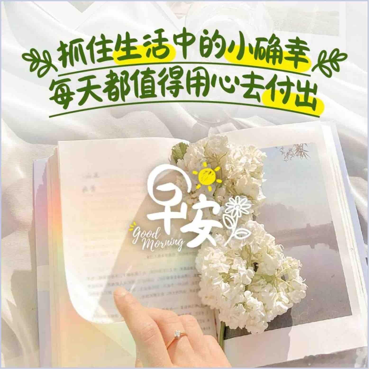 晨起，雾蒙蒙的，还是有点闷热。河边公园禅跑一小时，舒爽！ 早上好！抓住...