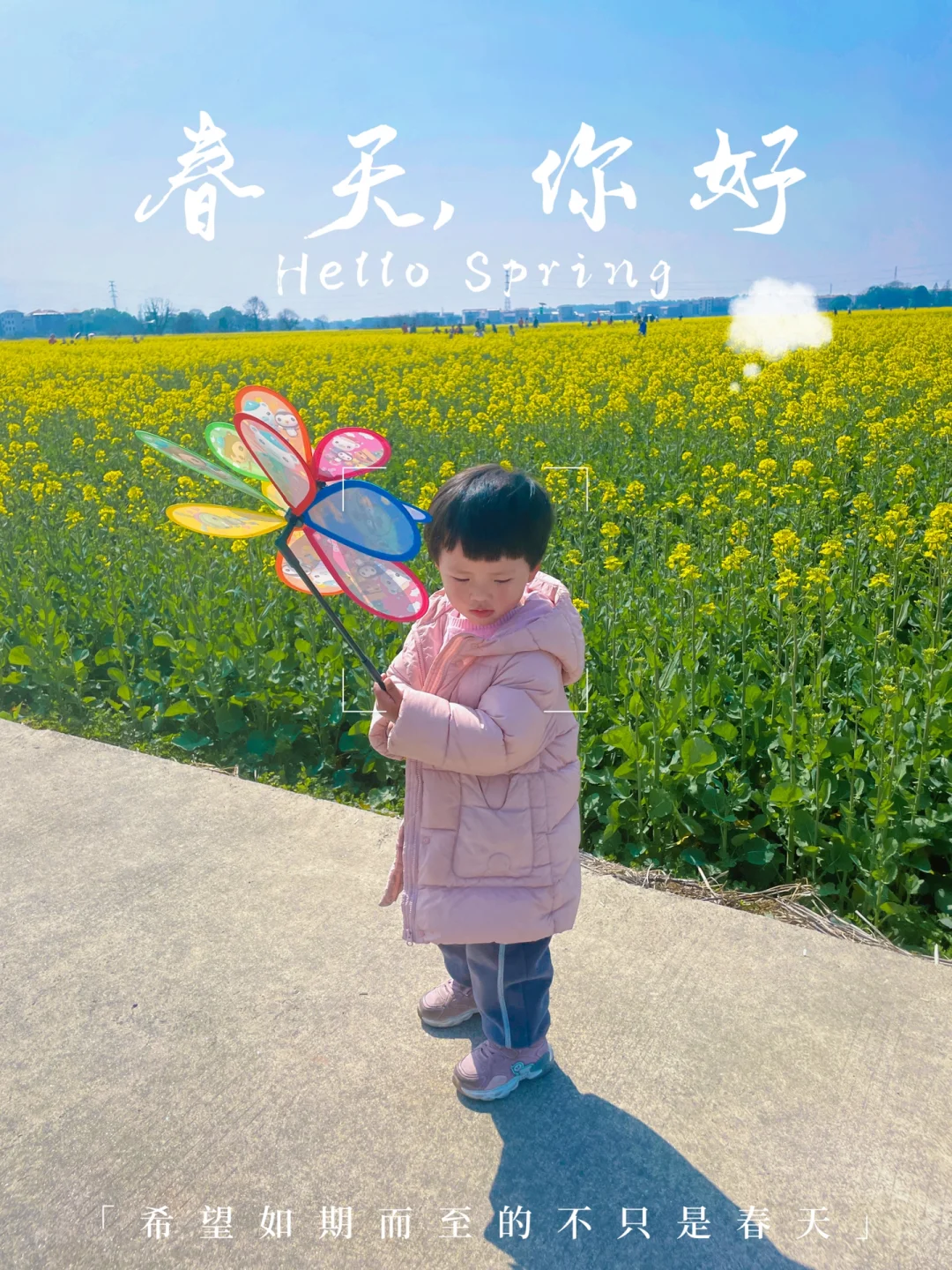 打卡安义油菜花海～也太美了吧